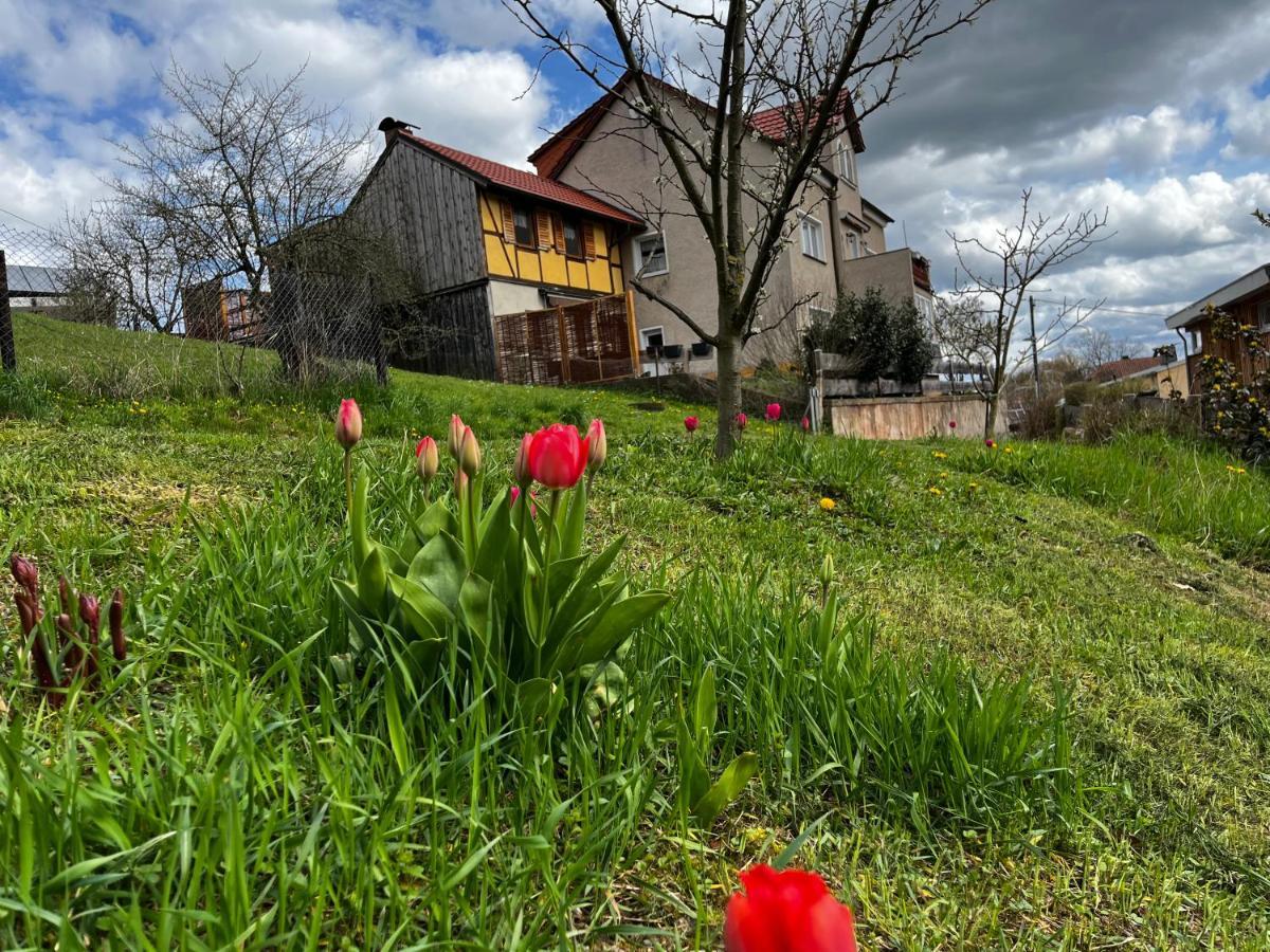 Kipsenblick Apartamento Kreischa Exterior foto